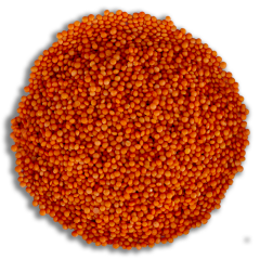 Kırmızı Mercimek 10 KG