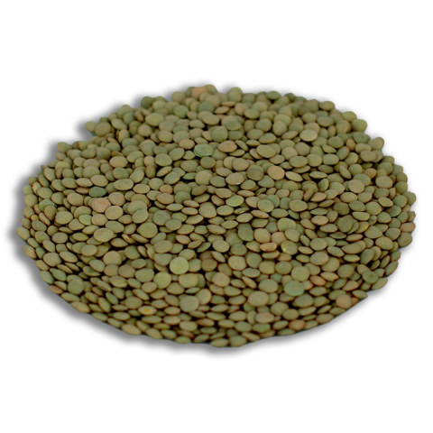 Yeşil Mercimek 10 KG